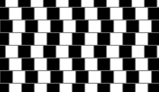 Pareidolia Pareidolia