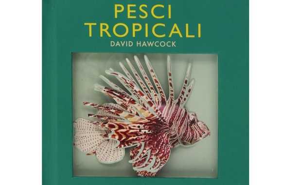 pesci tropicali per acquario