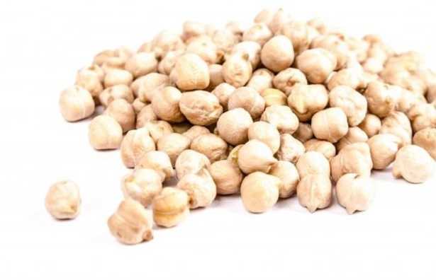 Pianta ceci Pianta ceci