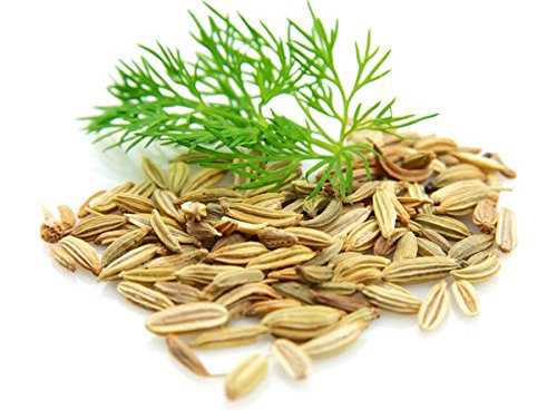 semi di finocchio selvatico