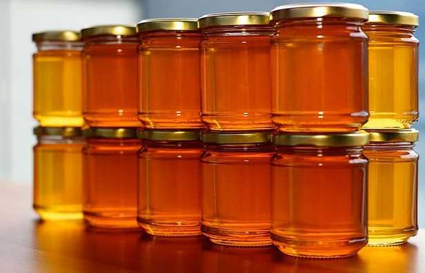 cibi alta digeribilità