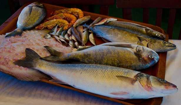 cibi alta digeribilità