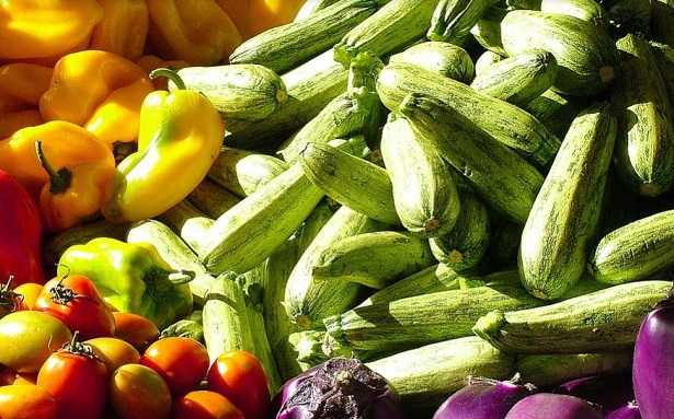 cibi alta digeribilità