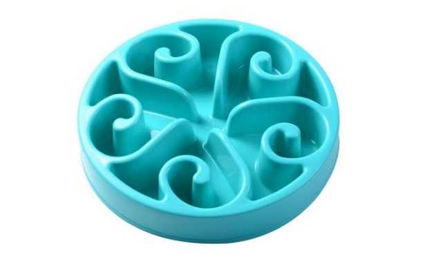 Fabbisogno nutrizionale gatto