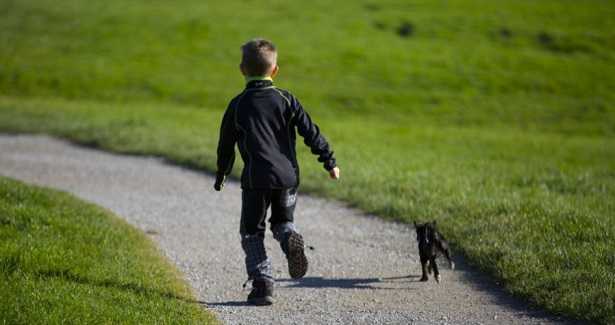 Camminare con il cane fa bene