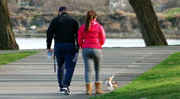 Camminare con il cane fa bene 