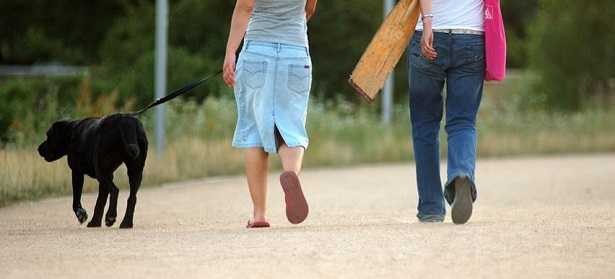 Camminare con il cane fa bene 