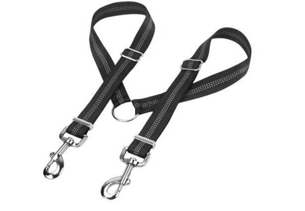 Camminare con il cane fa bene 