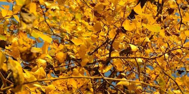 depressione stagionale