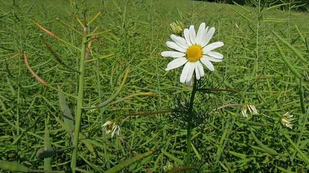 Frasi sulla vita Frasi sulla vita