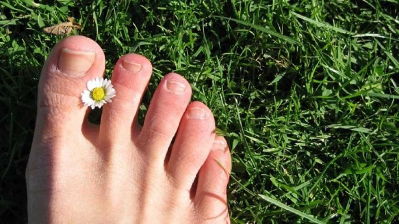 Calli E Duroni Rimedi Naturali Idee Green