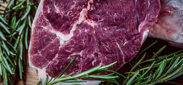 Fetta di carne alimento con proteine