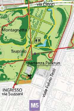 pioppo cipressino ideegreen