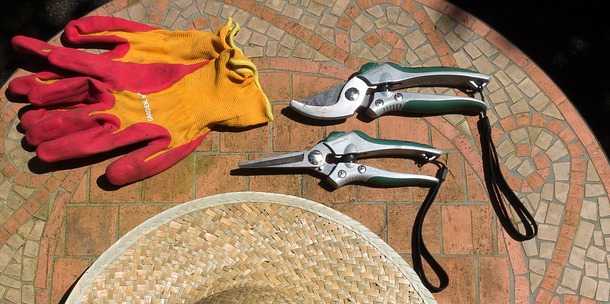 Come disinfettare forbici potatura