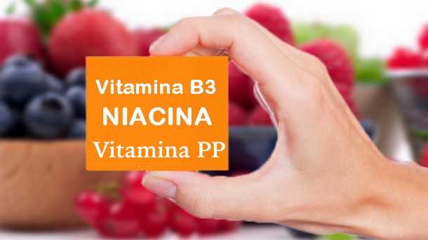 vitamina PP dove si trova niacina carenza alimenti