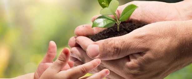 Eccedenze alimentari