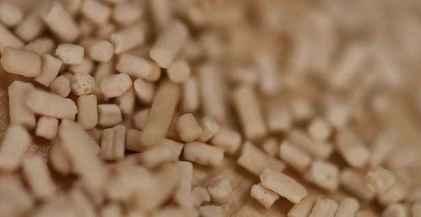 Estratto di lievito Estratto di lievito