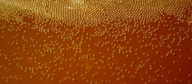 Estratto di lievito Estratto di lievito