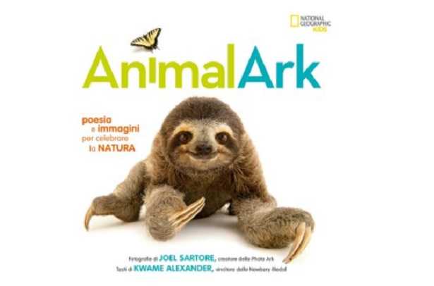 Frasi sugli animali Frasi sugli animali