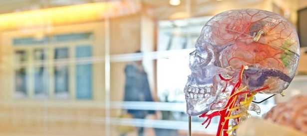 Neuroni specchio Neuroni specchio