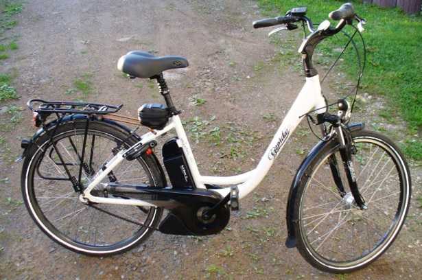 Pedalata assistita Pedalata assistita