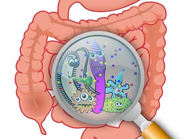 Sindrome del colon irritabile rimedi erbe