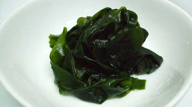 alga wakame