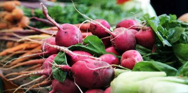 Anticrittogamici naturali