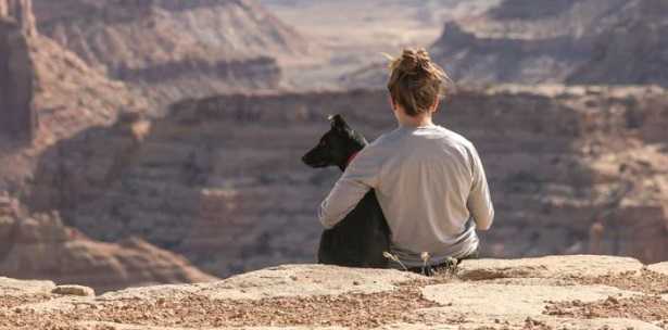 Cani e bambini Cani e bambini