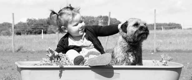 Cani e bambini Cani e bambini