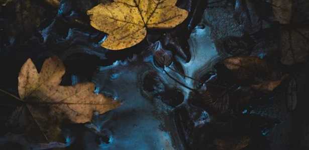 Frasi sulla nostalgia Frasi sulla nostalgia