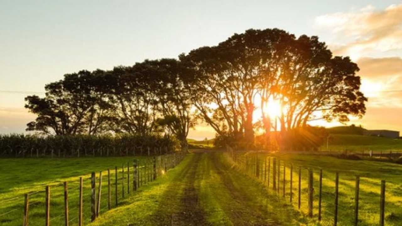 Frasi Sull Alba E Canzoni Idee Green