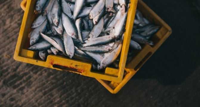 Intossicazione da mercurio