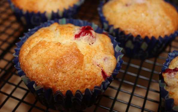 mirtilli rossi essiccati senza zucchero