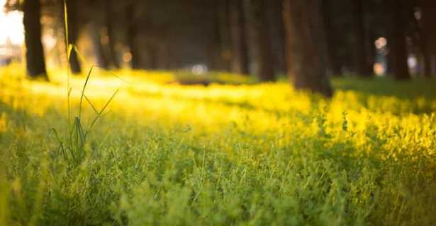 Tempo atmosferico Tempo atmosferico