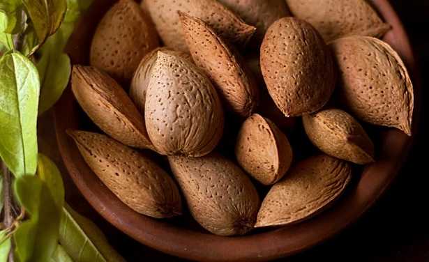 Abbacchiatura Abbacchiatura