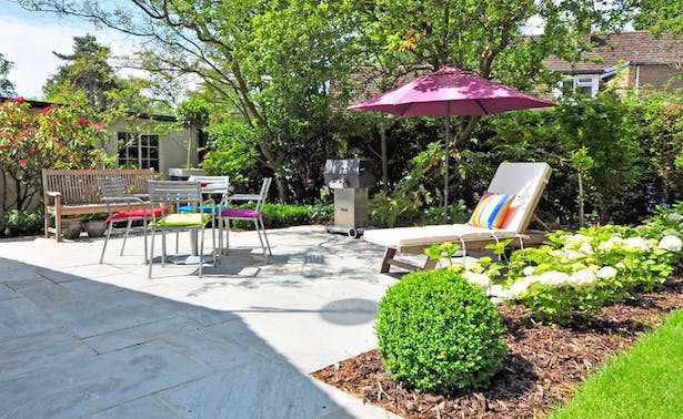 Come spostare una pianta