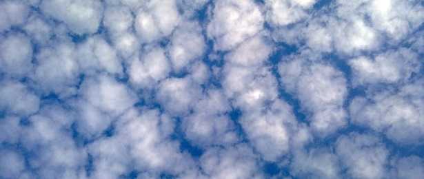Cielo a pecorelle
