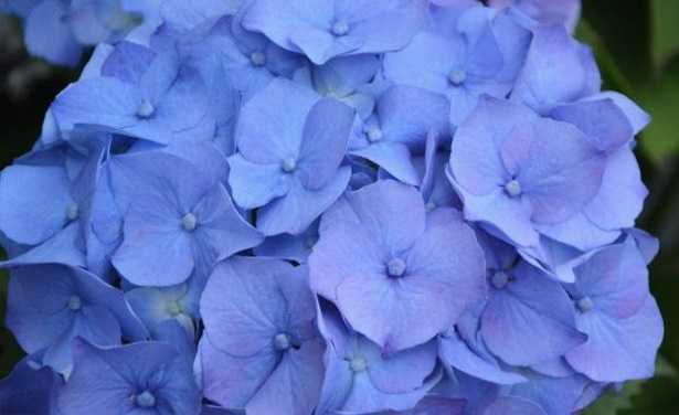 Limatura di ferro Limatura di ferro