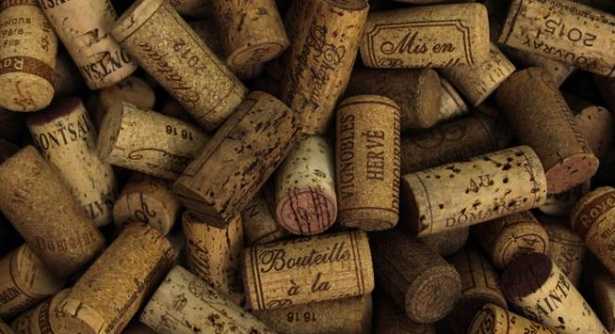 Polifenoli Polifenoli