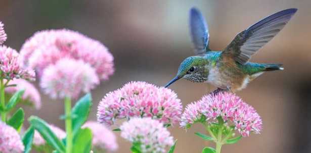Frasi belle Frasi belle