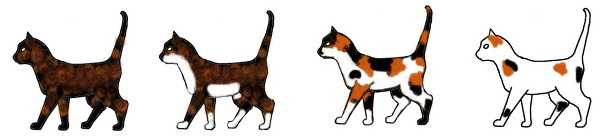 Omozigote ed eterozigote Omozigote ed eterozigote