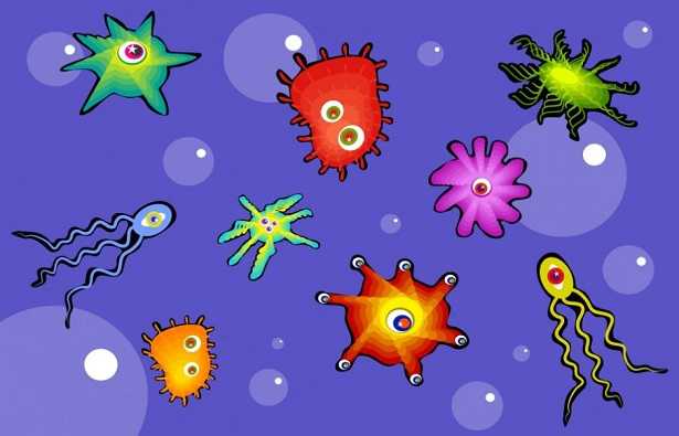 Battericida naturale