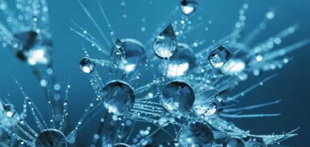 Curva di raffreddamento