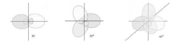 Ibridazione Ibridazione