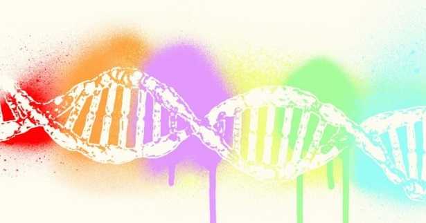 Ibridazione Ibridazione