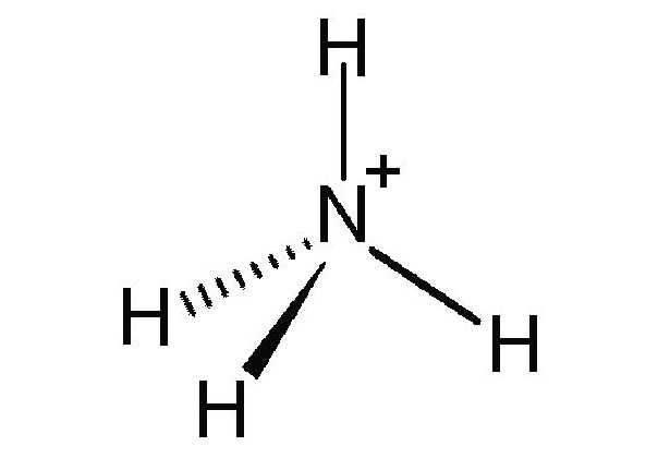 Ione ammonio
