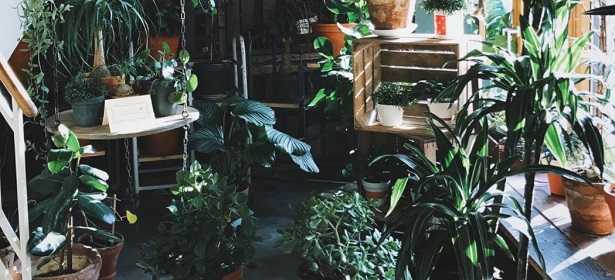 Acqua addolcita Acqua addolcita