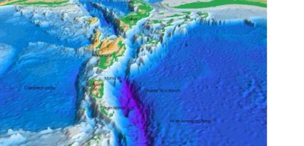 Fossa oceanica Fossa oceanica