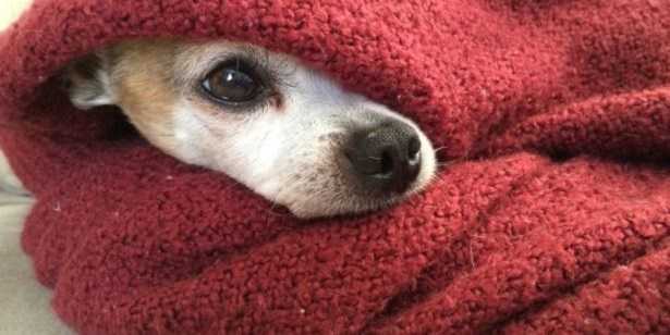 Cronotermostato Cronotermostato